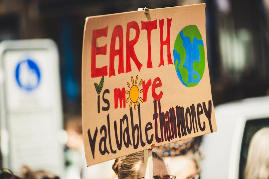 Sustainability-Linked Financing Markets: Trends and Impacts